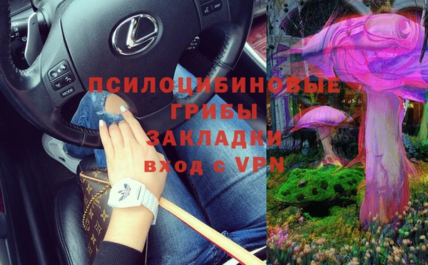 a pvp Иннополис